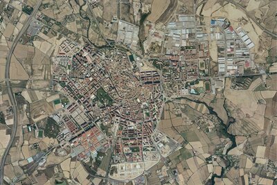 2006
