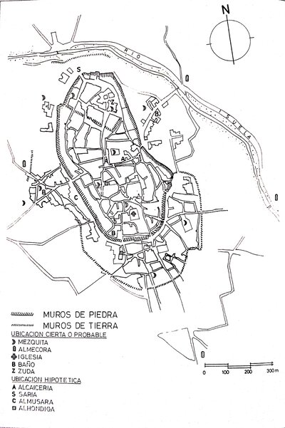 Epoca Musulmana